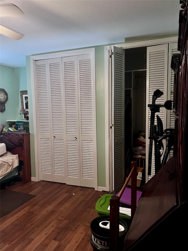 bedroom featuring dark wood-type flooring and multiple closets