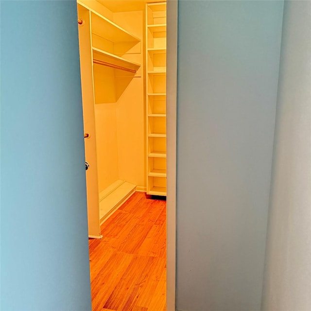 walk in closet featuring light wood-type flooring