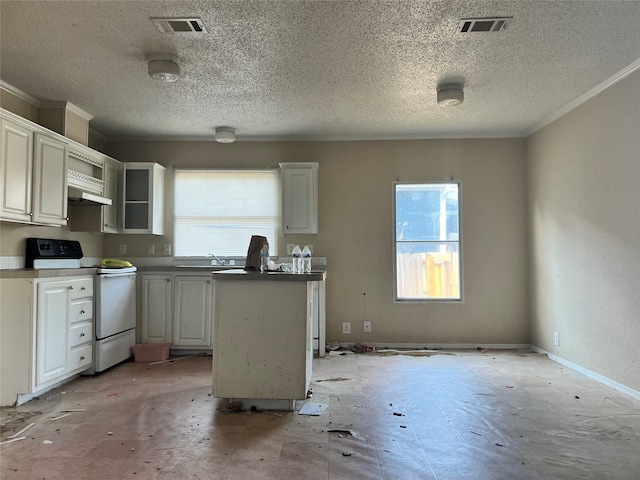 kitchen with a wealth of natural light, white cabinets, and electric stove