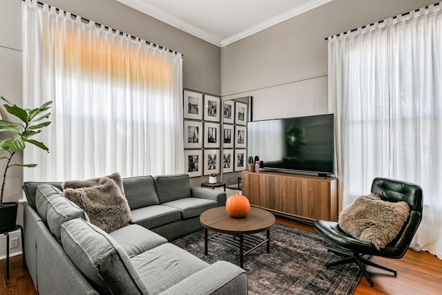 living room featuring crown molding and wood-type flooring