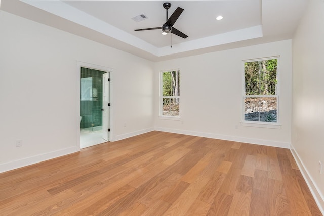 empty room featuring a tray ceiling, light wood-type flooring, and a wealth of natural light