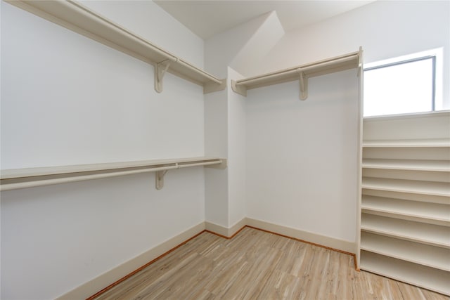 spacious closet featuring light wood-type flooring