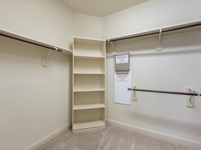 spacious closet with light carpet