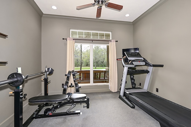 exercise area with ornamental molding and ceiling fan