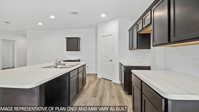 kitchen featuring light hardwood / wood-style floors, dark brown cabinetry, sink, and a center island with sink