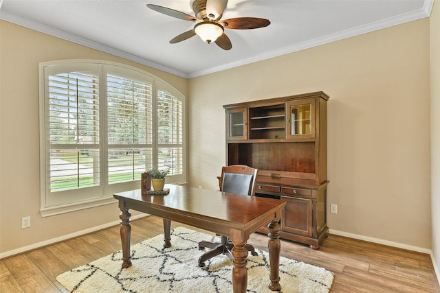 office space featuring light hardwood / wood-style flooring, ceiling fan, and crown molding