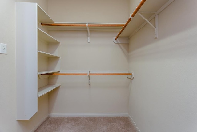 spacious closet featuring light carpet