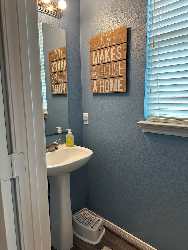 bathroom featuring hardwood / wood-style floors