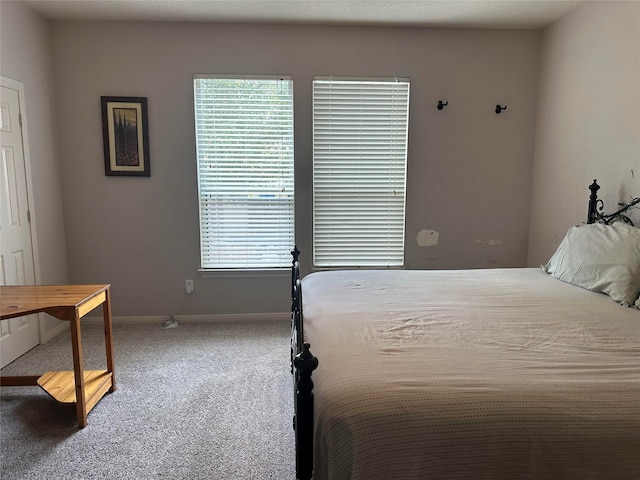 bedroom with carpet flooring