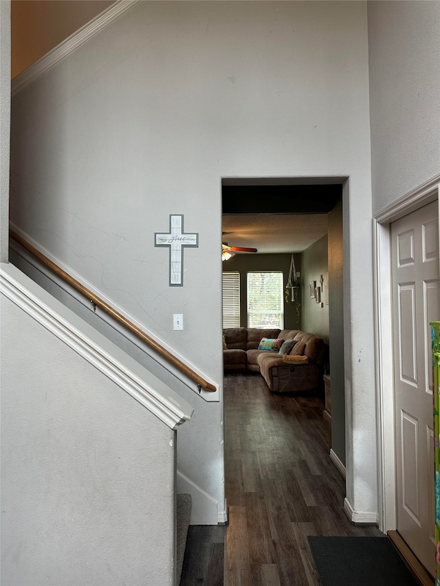 staircase with ceiling fan and hardwood / wood-style floors