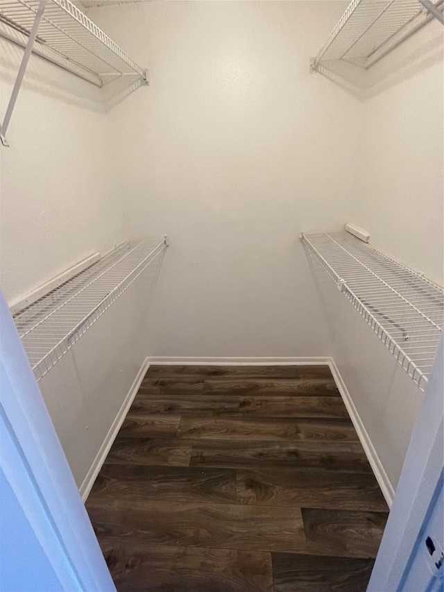 spacious closet with dark hardwood / wood-style flooring