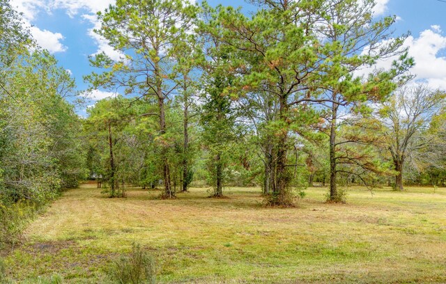724 County Road 6243, Dayton, TX 77535 - photo 5