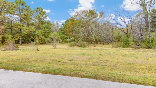 724 County Road 6243, Dayton, TX 77535 - photo 6