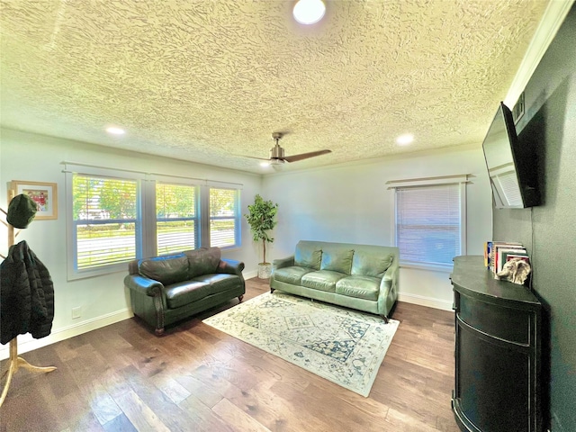 living room with ceiling fan, wood-type flooring, and a textured ceiling