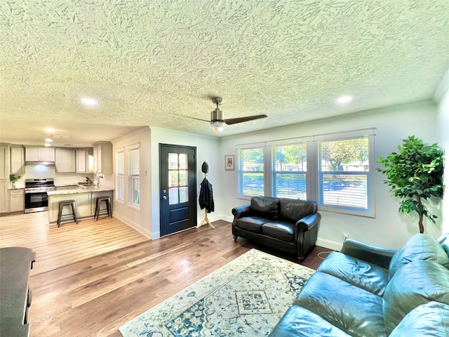 living room with a textured ceiling, wood-type flooring, and ceiling fan