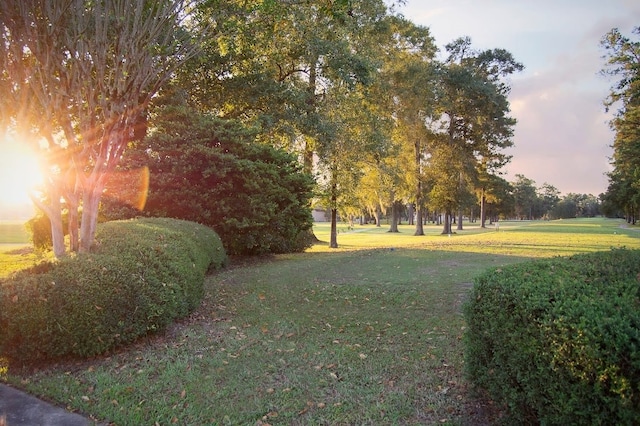 surrounding community with a lawn