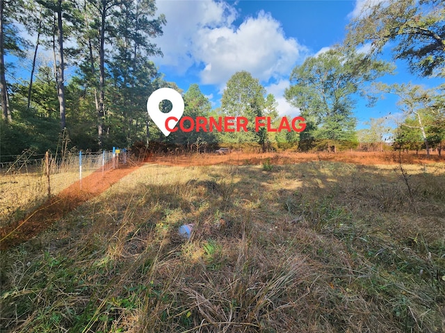 Listing photo 2 for 9467 Post Oak Cemetery Rd, Montgomery TX 77356