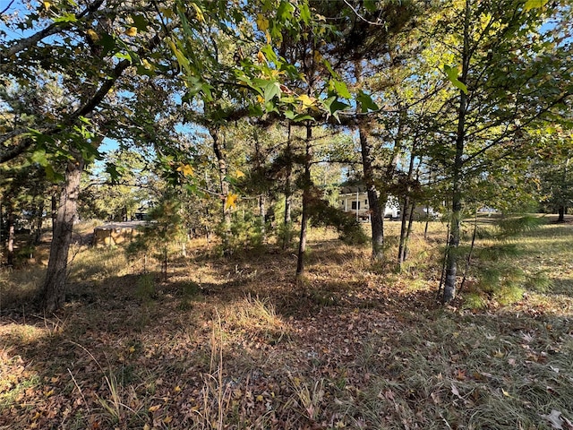 LOTS319 Oakwood Ln, Trinity TX, 75862 land for sale