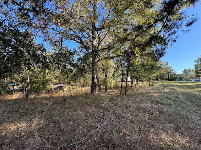 Listing photo 3 for LOTS319 Oakwood Ln, Trinity TX 75862