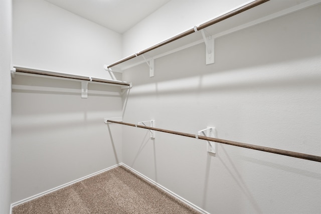 walk in closet with carpet