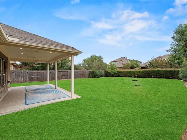 view of yard featuring a patio area