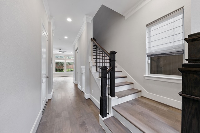 staircase with wood-type flooring, ceiling fan, and ornamental molding