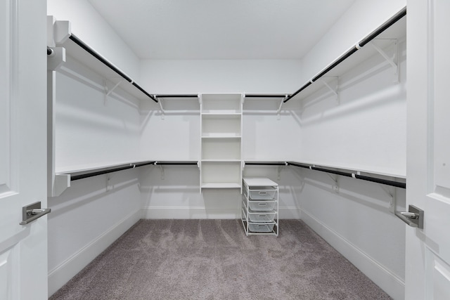 walk in closet with light colored carpet