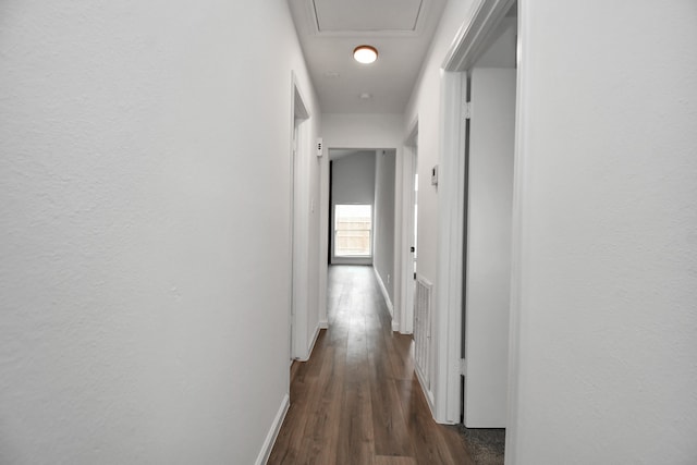 hall featuring dark wood-type flooring