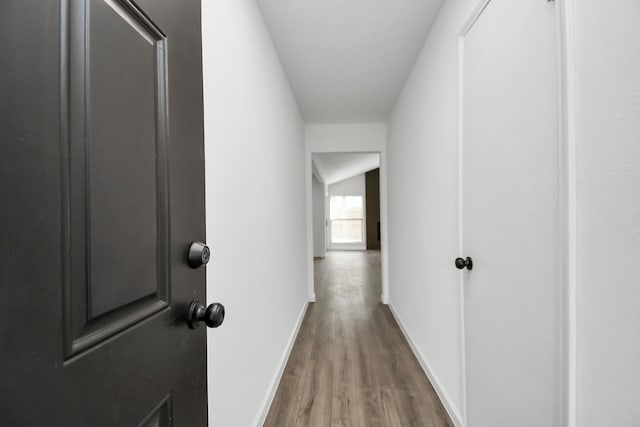 corridor featuring dark hardwood / wood-style flooring