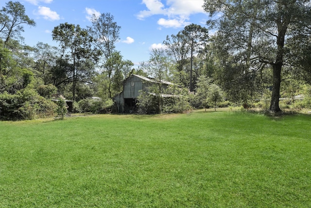 view of yard