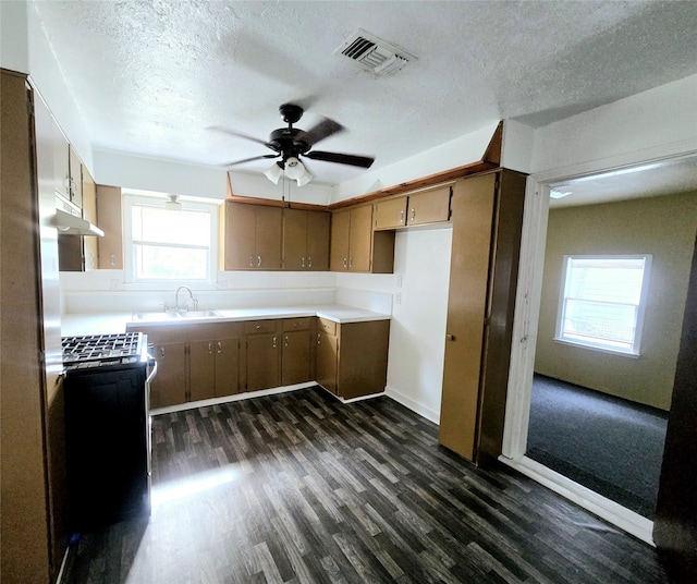 kitchen featuring sink, ceiling fan, a textured ceiling, and dark hardwood / wood-style floors