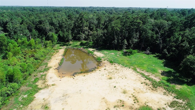 18974 Oak Hill Ln, Porter, TX 77365