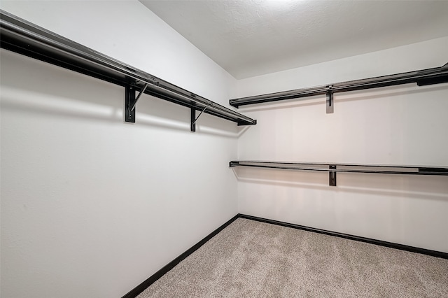 spacious closet featuring light carpet