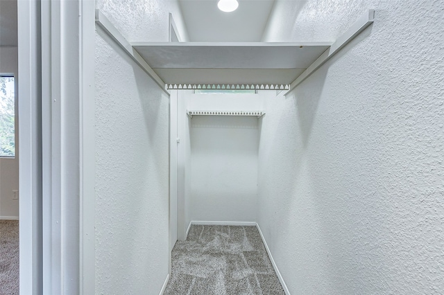 walk in closet featuring carpet flooring