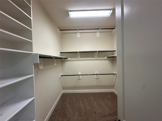 spacious closet featuring carpet floors