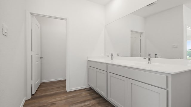 bathroom with vanity and wood-type flooring