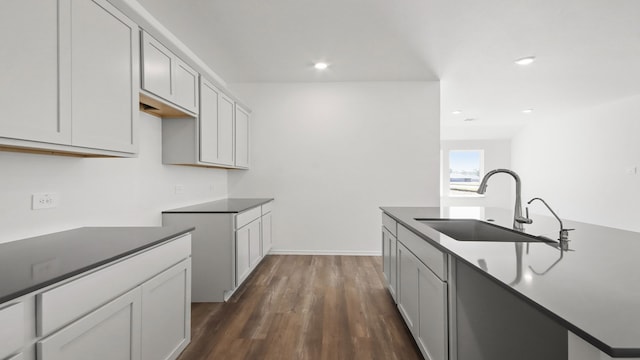 kitchen featuring dark hardwood / wood-style flooring and sink