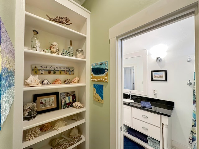 pantry featuring sink