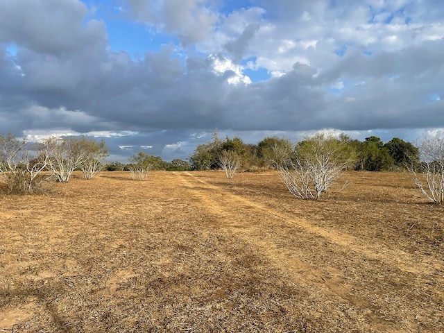 Listing photo 3 for TBD Fm 155 S, Weimar TX 78962