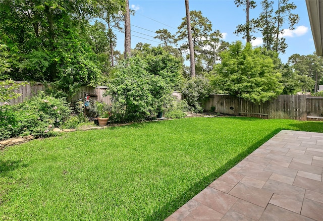 view of yard with a patio area