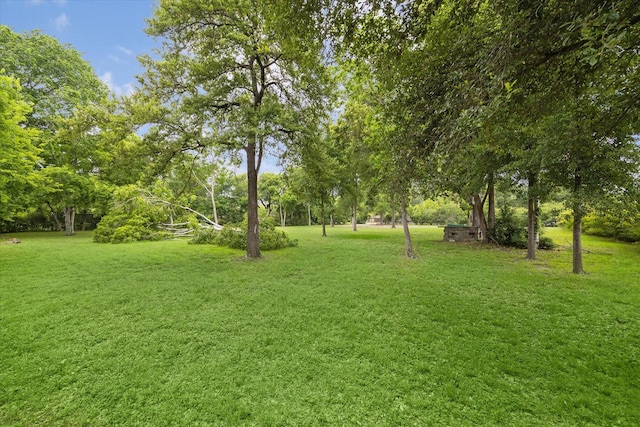 10211 Windsor Ln, Houston, TX 77031
