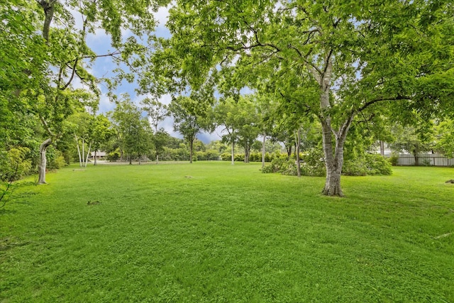 10211 Windsor Ln, Houston, TX 77031