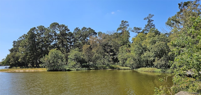 2715 W Green Briar Dr, Huntsville TX, 77340 land for sale