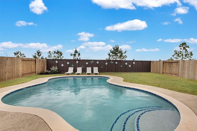 view of swimming pool with a lawn