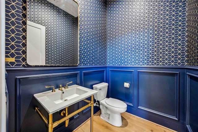 bathroom with hardwood / wood-style floors, vanity, and toilet