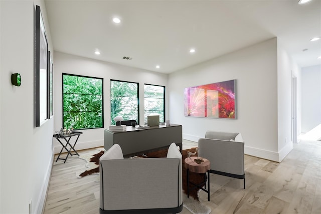 living room featuring light hardwood / wood-style floors