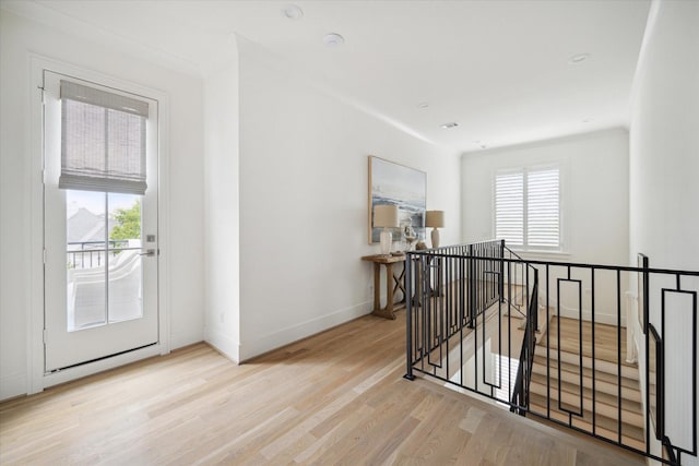 hallway featuring plenty of natural light and light hardwood / wood-style floors