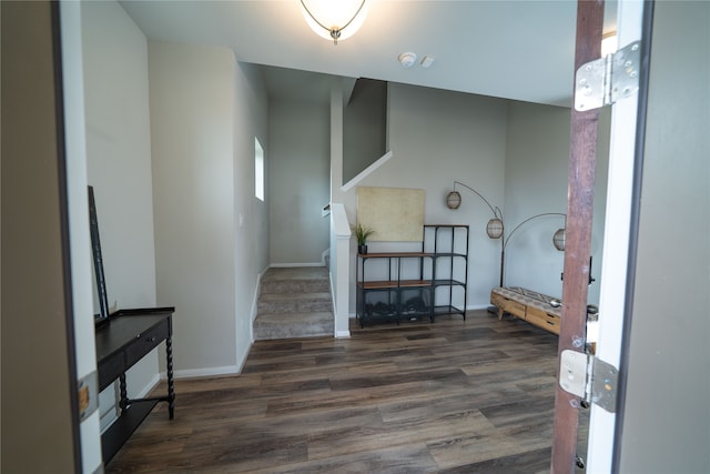 foyer entrance featuring dark hardwood / wood-style floors