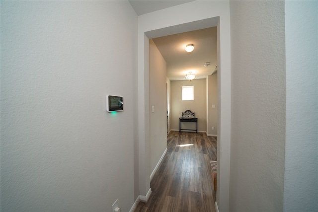 hallway featuring dark wood-type flooring