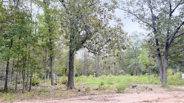 TBD Panther Lane, Livingston TX, 77351 land for sale